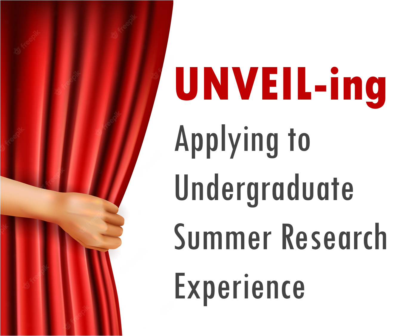 UNVEIL-ing Applying to Undergraduate Summer Research Experiences FALL 2022 FMN group image