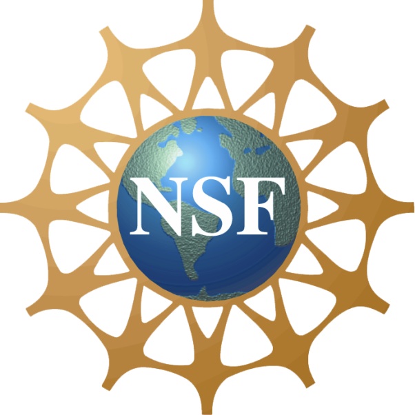 NSF Project